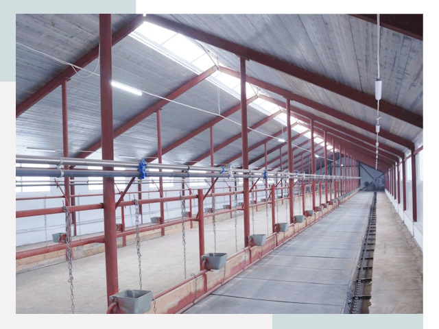 Строительство коровников в Киселёвске от 617 руб.