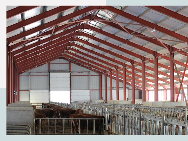 Строительство коровников в Киселёвске