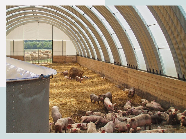 Строительство свинарников в Киселёвске