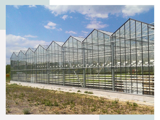 Строительство теплиц в Киселёвск от 617 руб. за м²