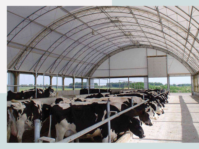 Тентовые коровники в Киселёвске